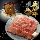 【ふるさと納税】《1週間程度で発送》日時指定可能 飛騨牛ロース焼肉 450g 焼き肉 焼肉 BBQ 国産牛 国産 牛肉 肉 厳選 熟成 贈答用 肉の沖村 飛騨市...