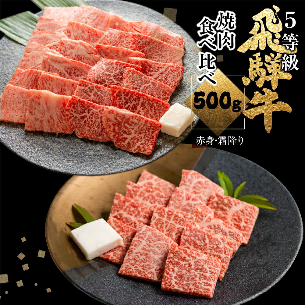 飛騨牛 【ふるさと納税】飛騨牛ロース・うでもも食べ比べセット(焼肉)　計500g 焼き肉 BBQ 国産牛 国産 牛肉 肉 厳選 熟成 贈答用 肉の沖村 [Q880]