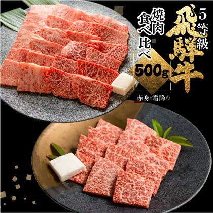 飛騨牛ロース・うでもも食べ比べセット(焼肉)　計500g 焼き肉 BBQ 国産牛 国産 牛肉 肉 厳選 熟成 贈答用 肉の沖村 [Q880]