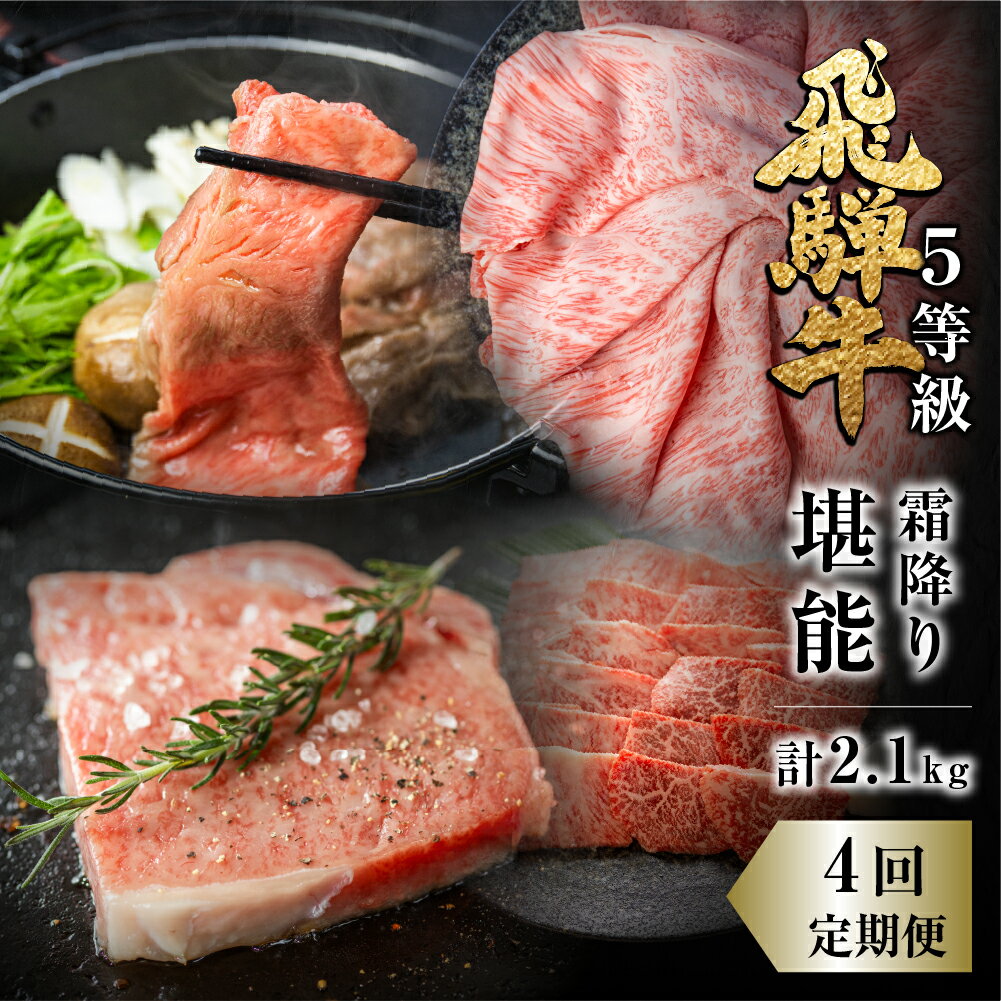 飛騨牛 霜降り堪能 4回 定期便 お楽しみ しゃぶしゃぶ ステーキ 焼肉 すき焼き 肉の沖村 牛肉 肉 熨斗掛け [Q956]