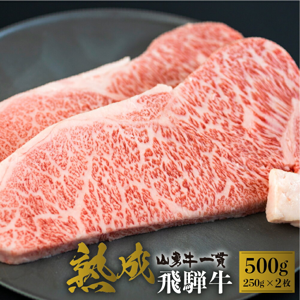 【ふるさと納税】サーロインステーキ 250g × 2枚 計 500g 熟成飛騨牛『山勇牛』 和牛 肉 ステーキ 熨斗掛け 日付指定可［r03］50000円 5万円のサムネイル
