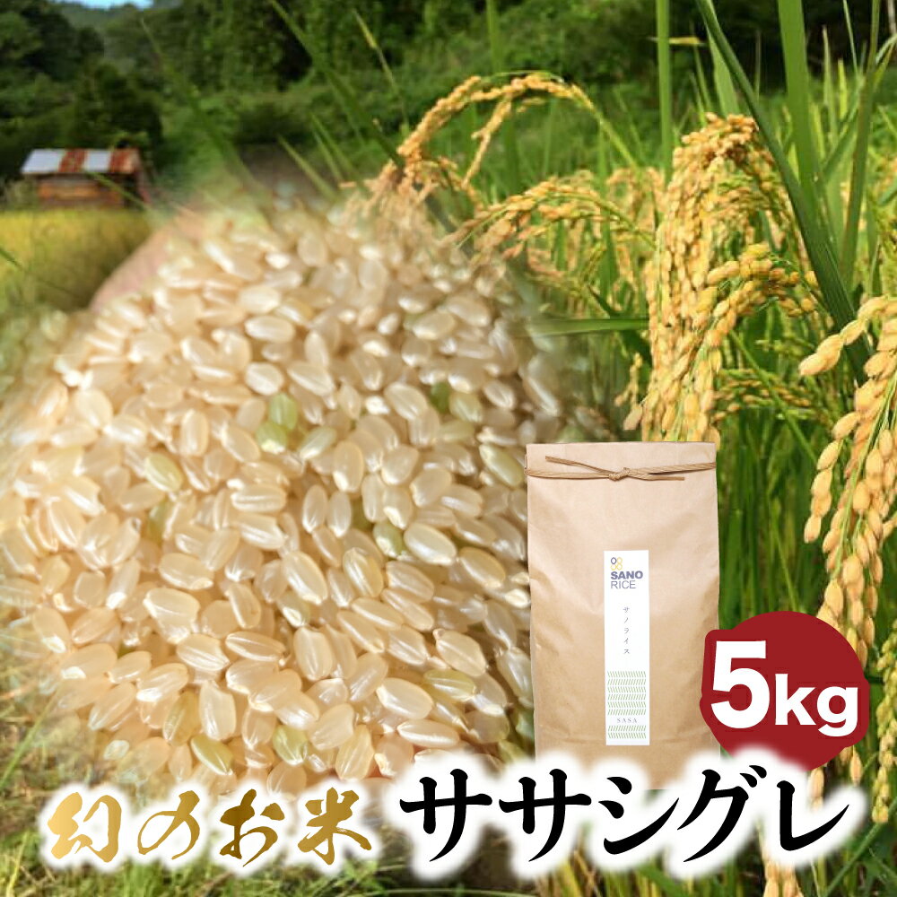 【ふるさと納税】ササシグレ 5kg 白米 玄米 令和5年産 