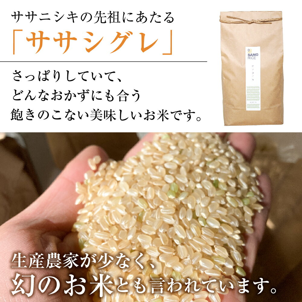 【ふるさと納税】ササシグレ 5kg 白米 玄米 令和5年産 米 ごはん お米 無農薬栽培 無化学肥料栽培 サノライス[Q2331]20000円