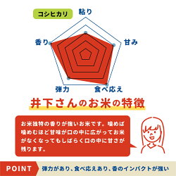 【ふるさと納税】《先行予約》令和4年産 新米 飛騨産 コシヒカリ 5kg 精白米 白米 飛騨の米 井下農園 こしひかり[Q1250]8000円 画像1