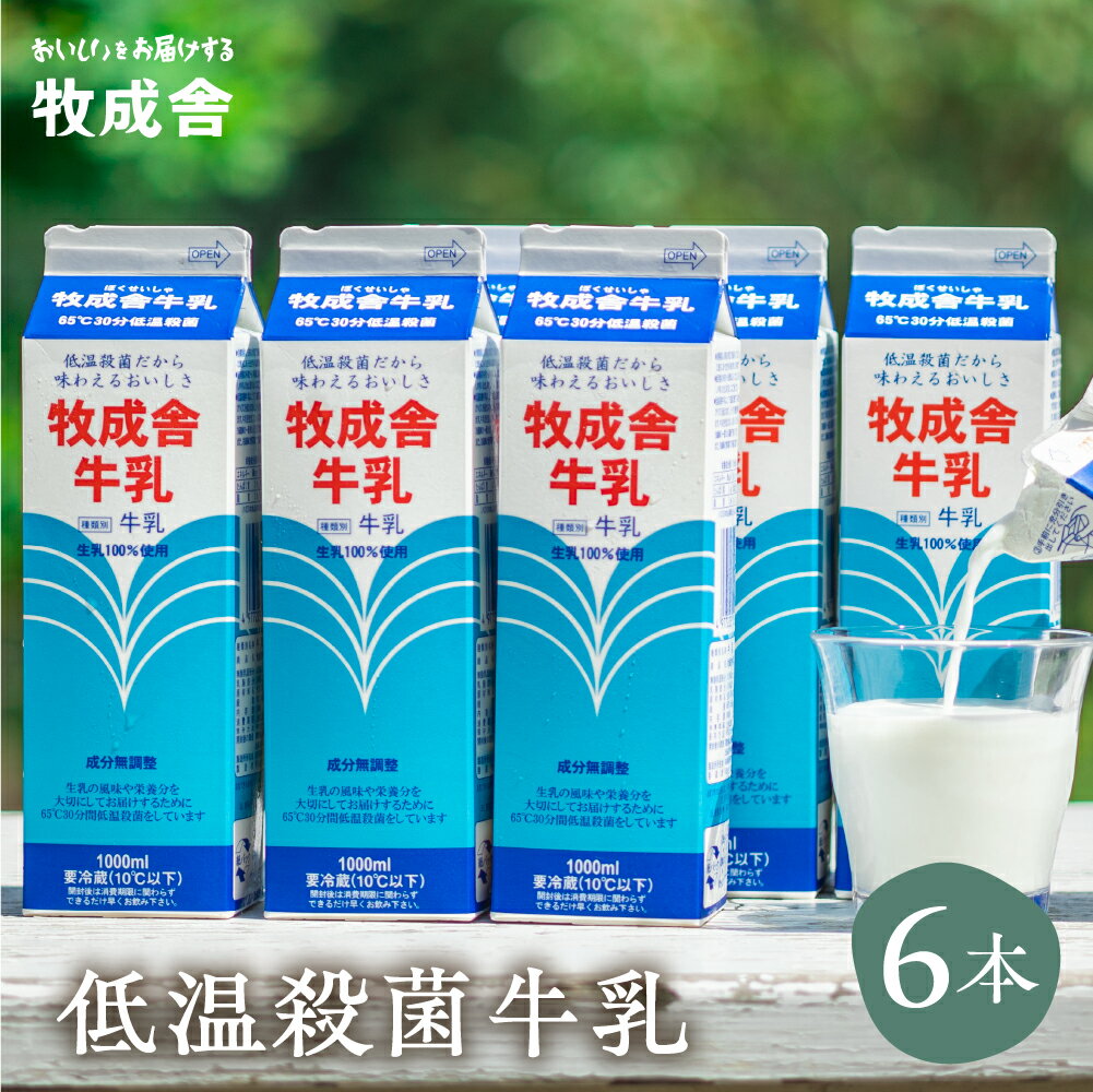 15位! 口コミ数「30件」評価「4.87」明治30年創業の牛乳屋 牧成舎 低温殺菌牛乳[A0086w]《hida0307》