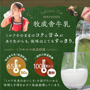 【ふるさと納税】牧成舎 低温殺菌牛乳 3本 無添加 飲むヨーグルト 2本 飛騨産生乳100%使用 [A0104w] 《hida0307》