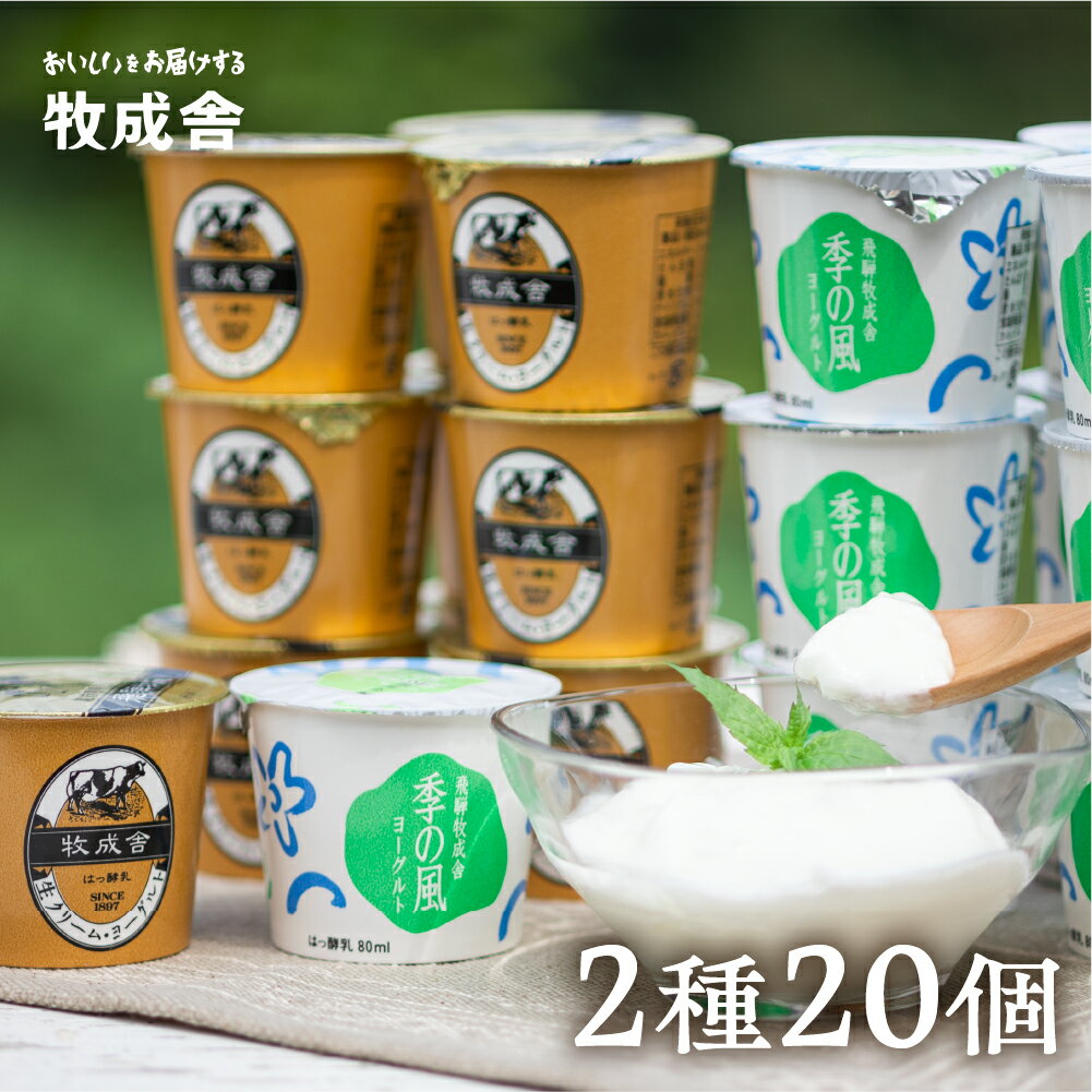 10位! 口コミ数「53件」評価「4.87」飛騨の牛乳屋こだわり ヨーグルト 2種類 食べ比べ 盛沢山 20個 セット カップヨーグルト 乳製品 ギフト まとめ買い 牧成舎 [A009･･･ 