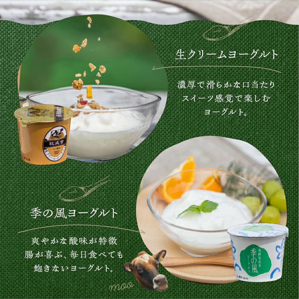 【ふるさと納税】飛騨の牛乳屋こだわり ヨーグルト 2種類 食べ比べ 盛沢山 20個 セット カップヨーグルト 乳製品 ギフト まとめ買い 牧成舎 [A0093] 《hida0307》