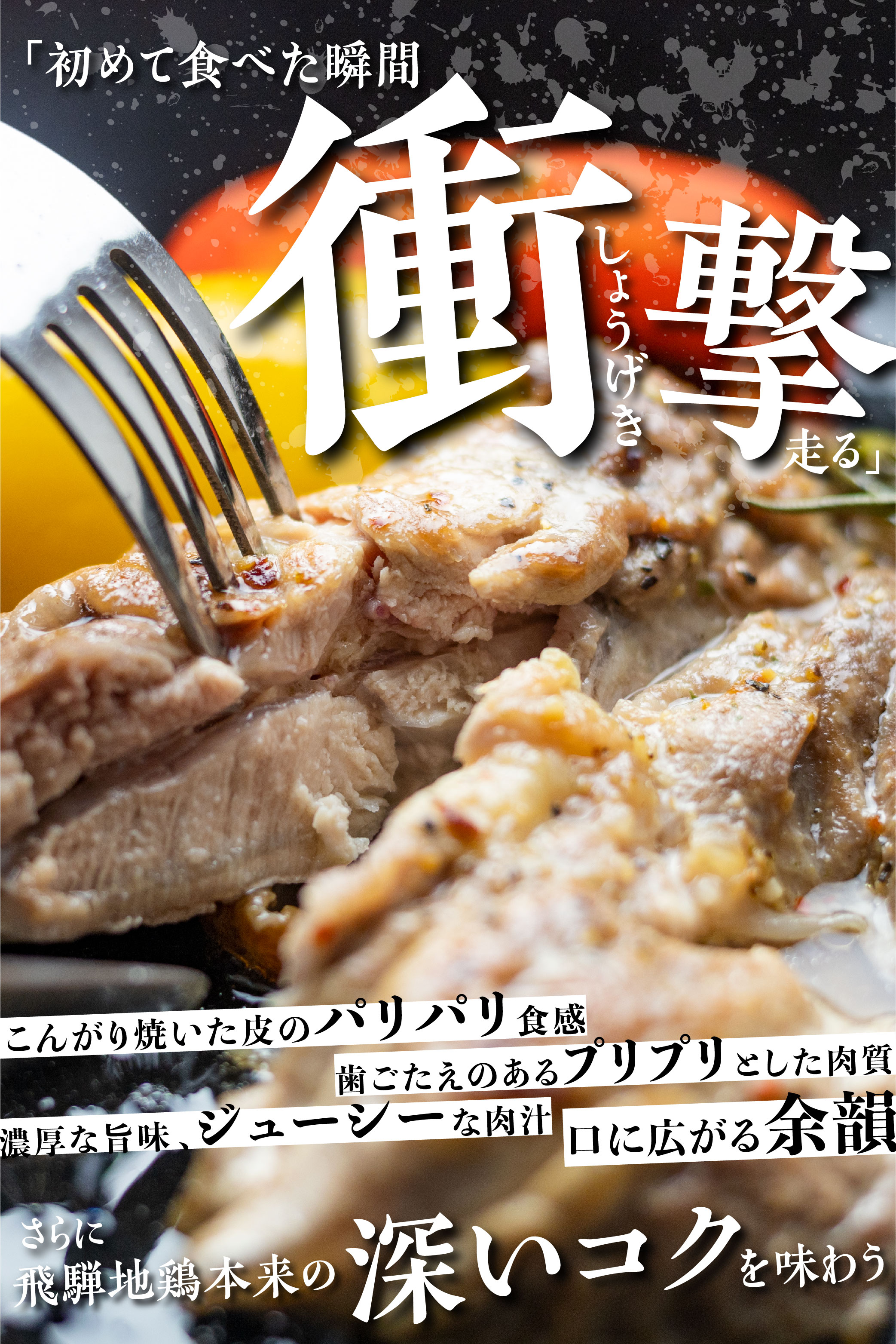 【ふるさと納税】鶏肉 小分け 福袋 飛騨地鶏 地鶏 モモ肉 手羽先 手羽元 ささみ 合計1.7kg 鶏肉 飛騨[B0255re] 3