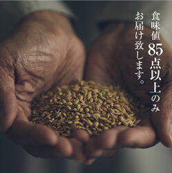 【ふるさと納税】和仁農園 ”秘蔵米” 令和2年産コシヒカリ「黄金の煌き」5kg こしひかり コシヒカリ 米 コメ ご飯 限定 7000円 画像1