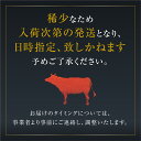 【ふるさと納税】最飛び牛 飛騨牛 赤身 しゃぶしゃぶ 1kg 5等級 A5 うでorもも 牛肉 和牛 ブランド牛 プレミアム ごちそう 贅沢飛騨牛 肉の沖村[Q1698]12万円 120000円 3