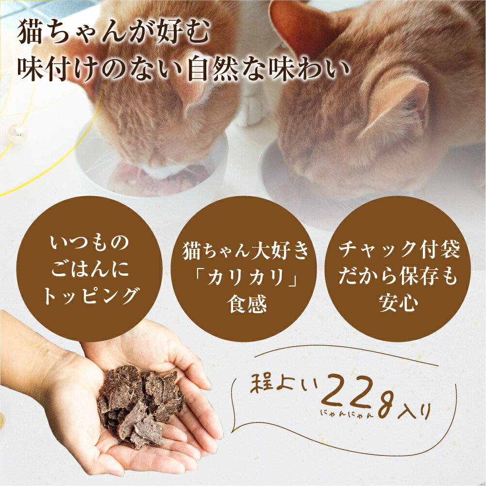 【ふるさと納税】NECO MESHI ジビエジャーキー 鹿肉 キャットフード 2袋 人・猫兼用 無添加 おつまみ ジャーキー ねこ 猫 猫えさ 猫餌 餌 (保護猫活動コラボ品 SAVE THE CAT HIDA支援) 飛騨狩人工房 5000円 [neko_j9]