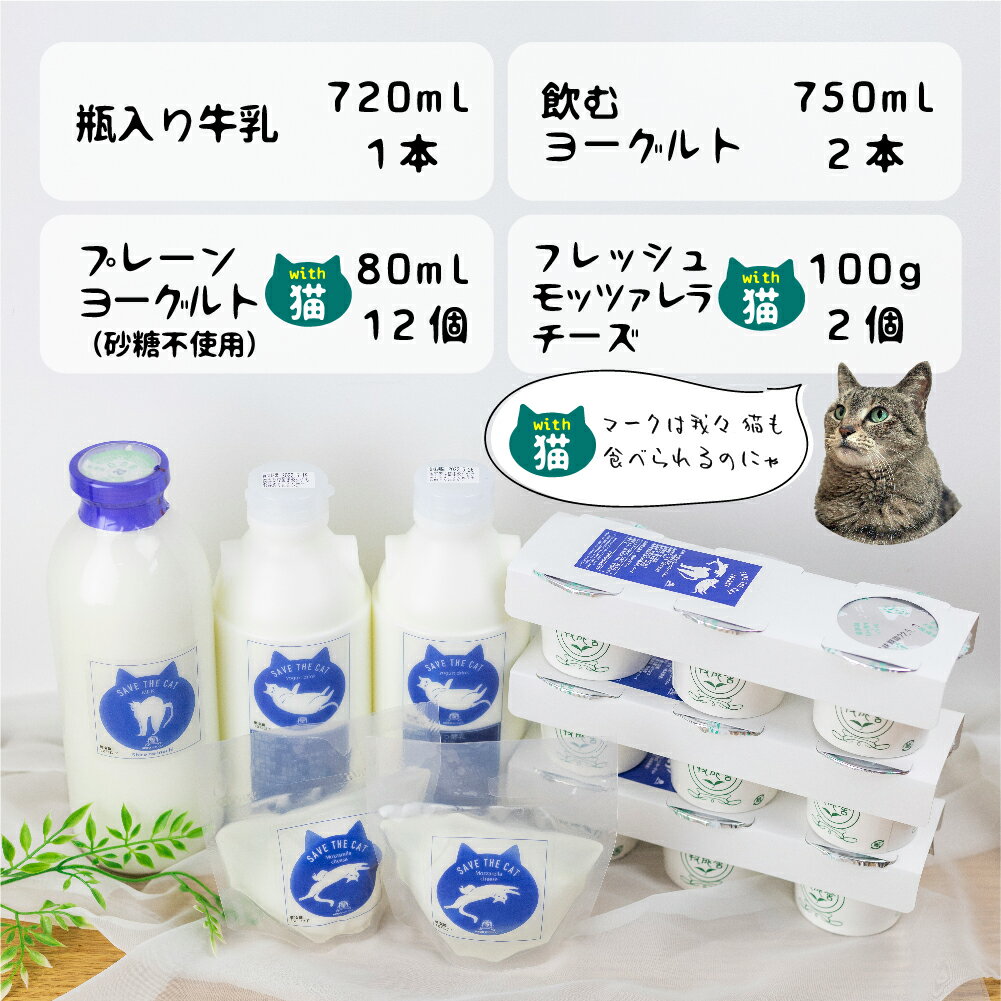 【ふるさと納税】【牧成舎の白猫シリーズ】欲ばり乳製品セット 牛乳 飲むヨーグルト プレーンヨーグルト チーズ 人気 (SAVE THE CAT HIDA支援) 猫 ねこ ネコ ネコ好き にゃんこ プレゼント ギフト かわいい 可愛い ネコリパブリック