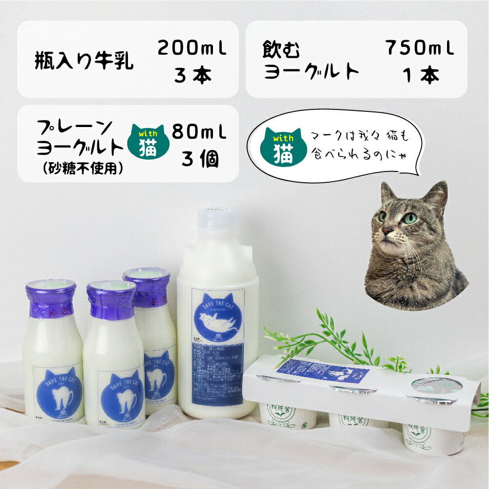 【ふるさと納税】【牧成舎の白猫シリーズ】ヘルシー乳製品セット 牛乳 飲むヨーグルト ヨーグルト プレーン 人気 (SAVE THE CAT HIDA支援)【7月1日から順次発送】 猫 ねこ ネコ ネコ好き にゃんこ プレゼント ギフト かわいい 可愛い 5000円 5千円