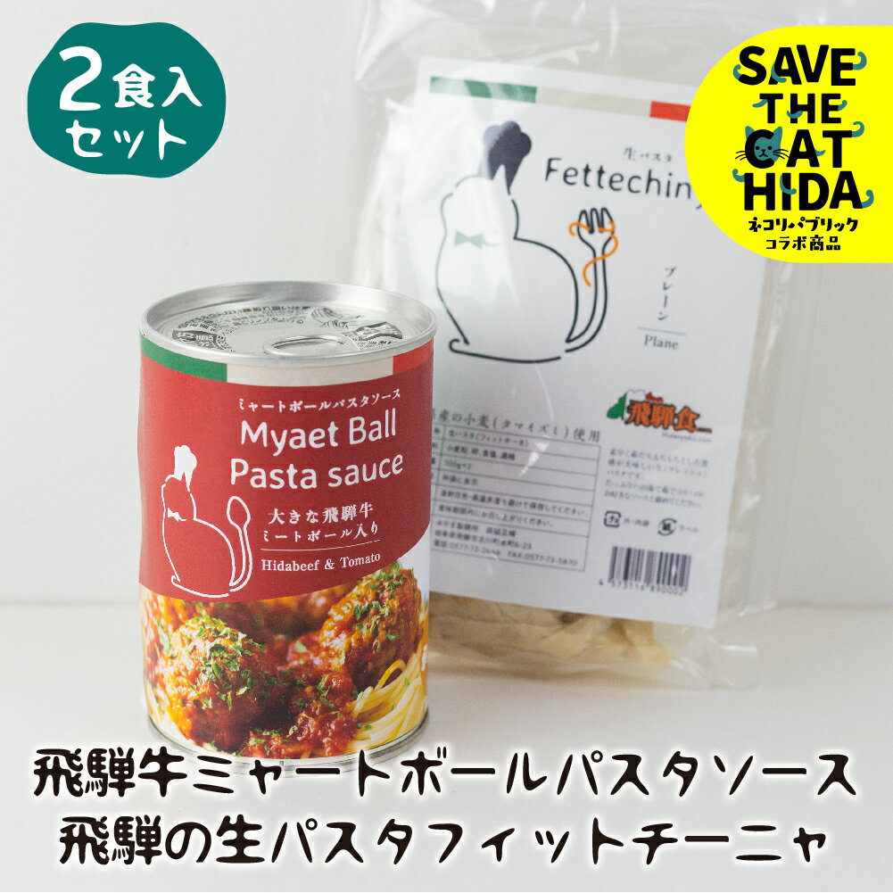 12位! 口コミ数「2件」評価「5」飛騨牛ミートボールパスタソース・飛騨の生パスタフィットチーネセット 飛騨牛 牛肉 国産 黒毛和牛 生パスタ スパゲティ フィットチーネ 生麺･･･ 