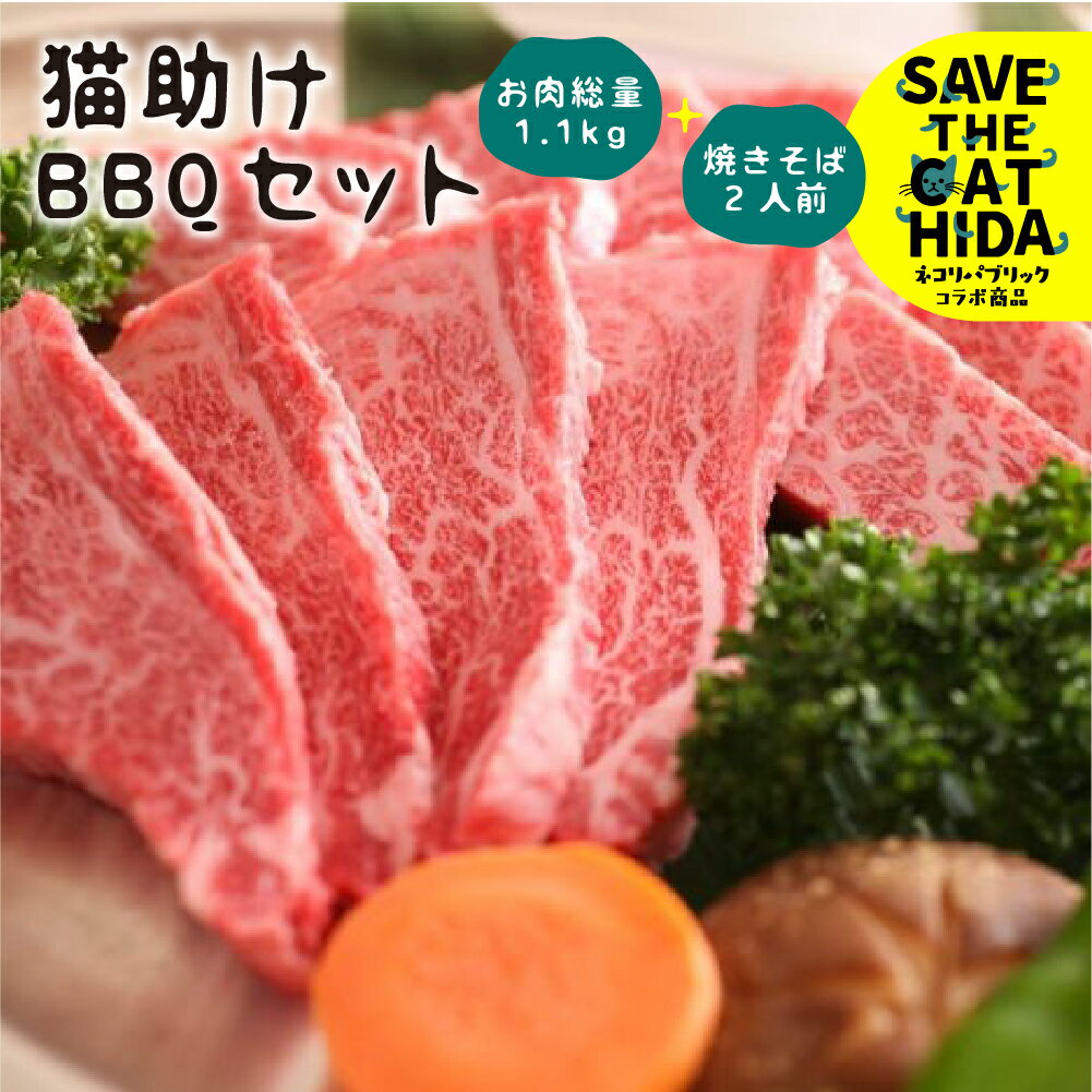 猫助けBBQセット 飛騨牛 黒毛和牛 国産 牛肉 豚肉 鶏肉 焼肉 焼きそば レジャー アウトドア バーベキュー BBQ(SAVE THE CAT HIDA支援) 猫 ねこ ネコ ネコ好き にゃんこ プレゼント ギフト [neko_j_53]30000円 3万円 ネコリパブリック