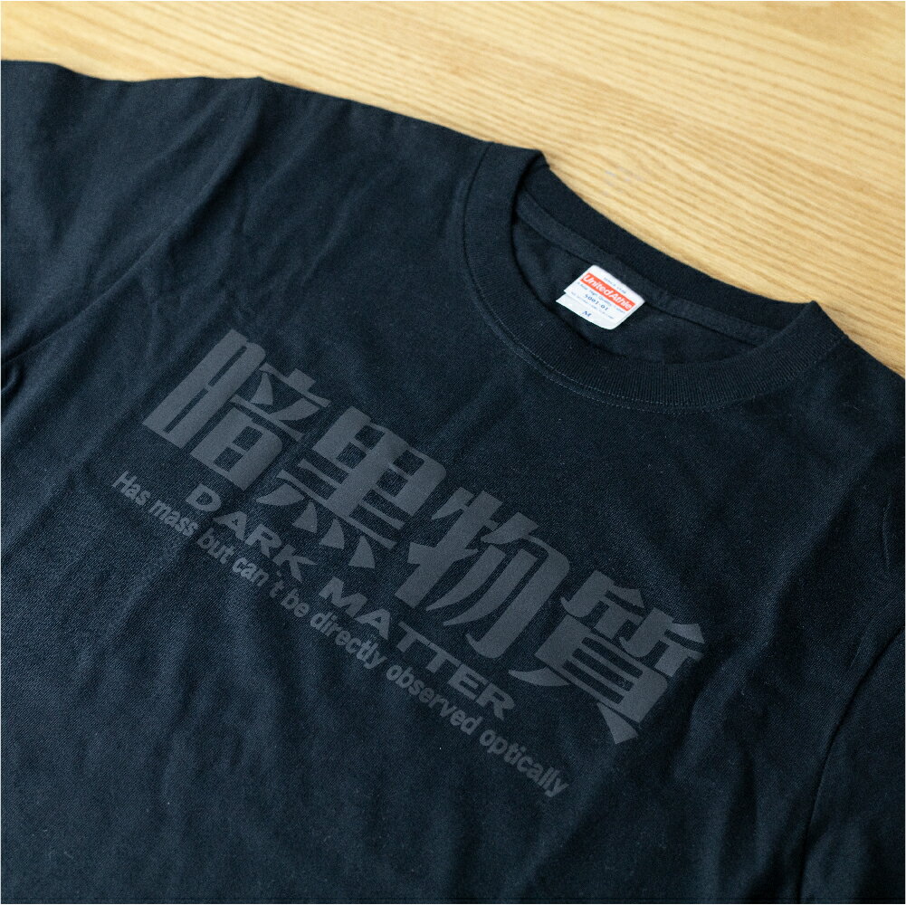 【ふるさと納税】暗黒Tシャツ メンズ レディース 半袖 黒 夏服 ブラック ロゴ 14000円 ［Q1306x］