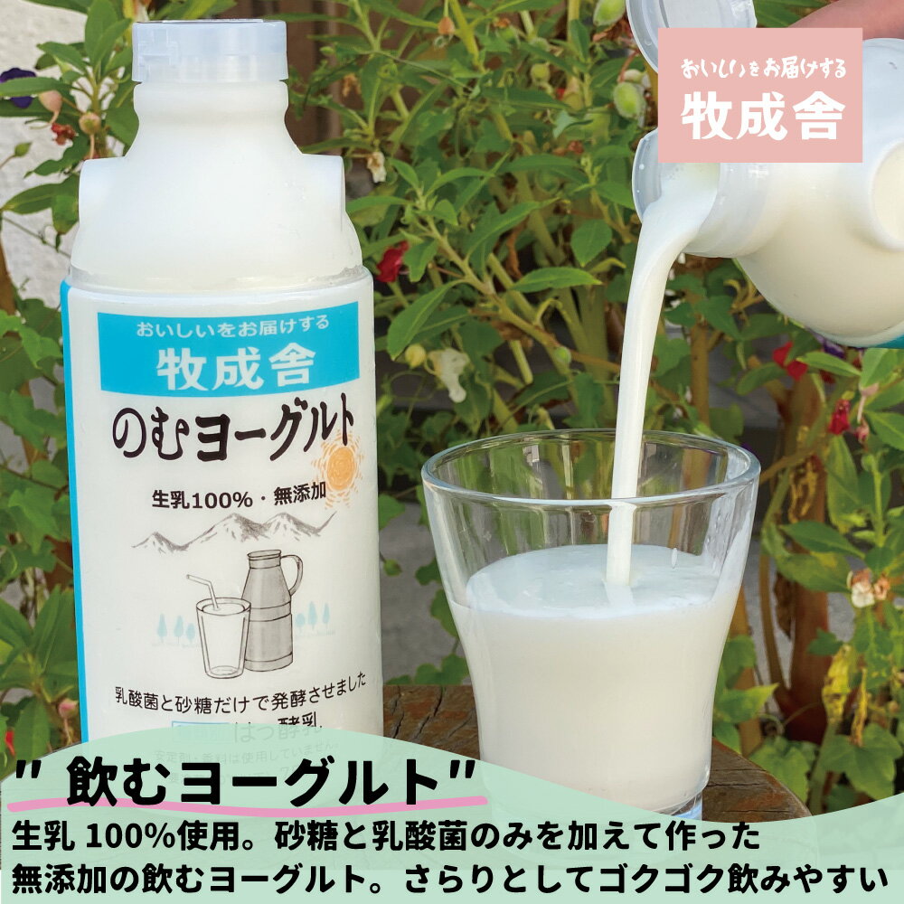 【ふるさと納税】飛騨 牧成舎 ヨーグルト 4種 12個 セット ヨーグルト ギフト まとめ買い 牧成舎 冷蔵 冷蔵保存 さっぱり 低カロリー ヘルシー 生クリーム 濃厚 [Q1056x]《hida0307》