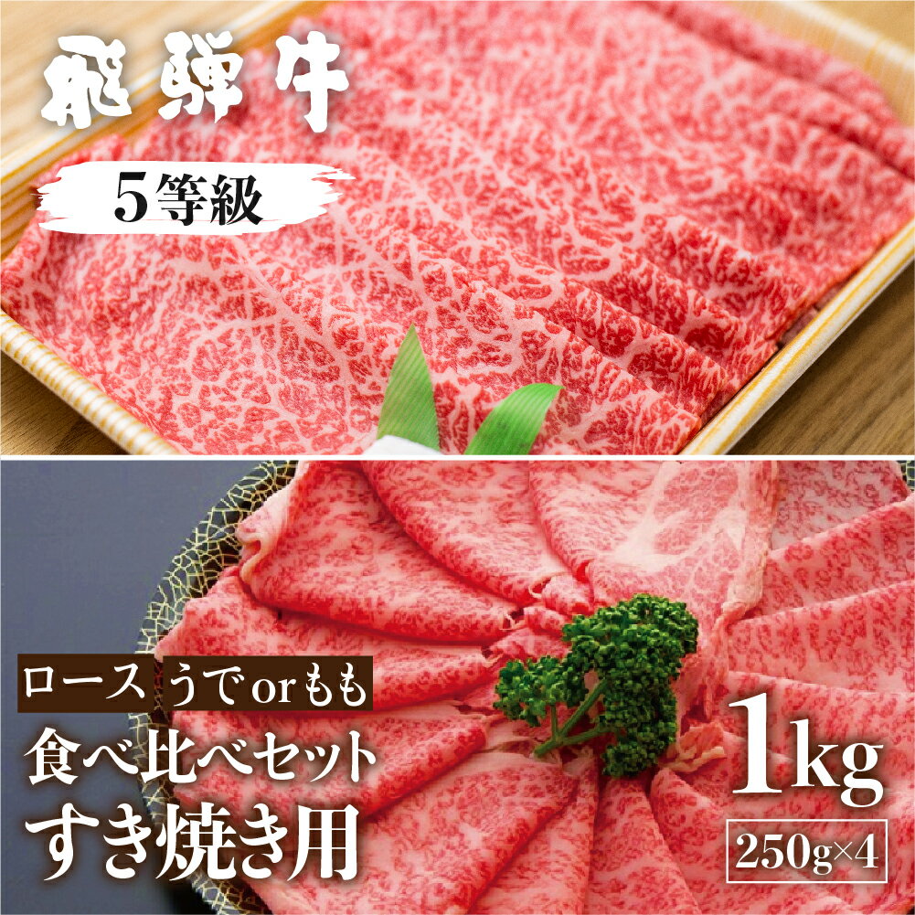 飛騨牛 【ふるさと納税】飛騨牛ロース・うでもも食べ比べセット 計1kg (250g×4)すき焼き用 国産牛 国産 牛肉 肉 厳選 熟成 贈答用 肉の沖村 [Q1089]