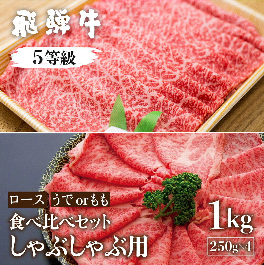 飛騨牛ロース・うでもも食べ比べセット 計1kg(250g×4) しゃぶしゃぶ用 国産牛 国産 牛肉 肉 厳選 熟成 贈答用 肉の沖村 [Q1091]