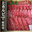 【ふるさと納税】飛騨牛 上カルビ 焼肉用 600g 　（冷凍