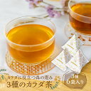 【ふるさと納税】100％飛騨産の薬草を使用 三種のカラダ茶 3種6袋 お茶 ティーパック 野草茶 ギフト プレゼント 贈り物 自然派 健康志向 [Q1161]《hida0307》