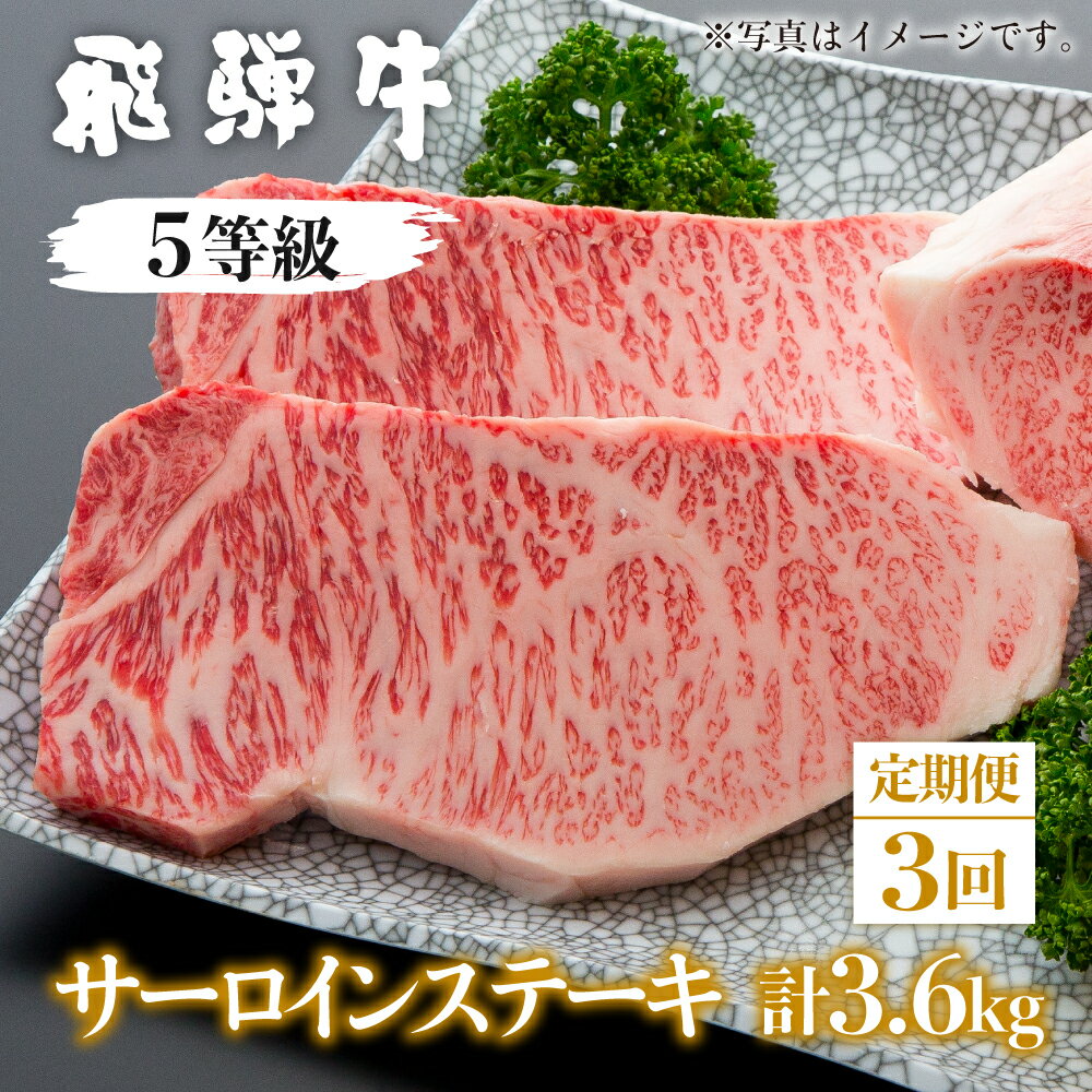 定期便 3回 飛騨牛 5等級 サーロインステーキ 1.2kg × 3ヵ月 計3.6kg お届け ステーキ 国産牛 国産 牛肉 肉 厳選 熟成 肉の沖村 [Q1207]