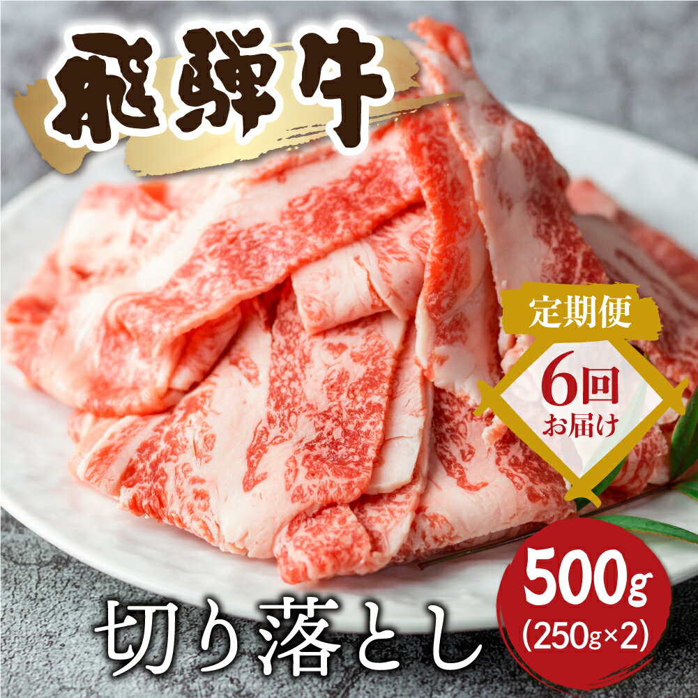 【ふるさと納税】【定期便】飛騨牛 切り落としスライス500g 6回お届け 焼肉 牛肉 肉 訳あり 不揃い 部位おまかせ 焼き肉 和牛 すき焼き 肉じゃが 炒め物 煮物 ギフト 贈り物