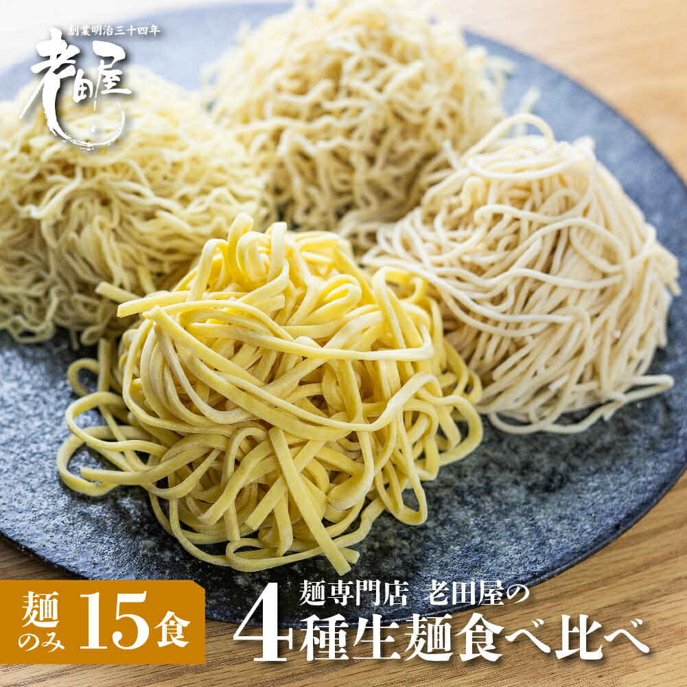 【ふるさと納税】【訳あり】業務用 生麺4種食べ比べセット 計15食 生めん ラーメン 細打ちちぢれ麺 中太ストレート麺 中太ちぢれ麺 平打ち麺 麺のみ 常温 家庭用 老田屋 《hida0307》