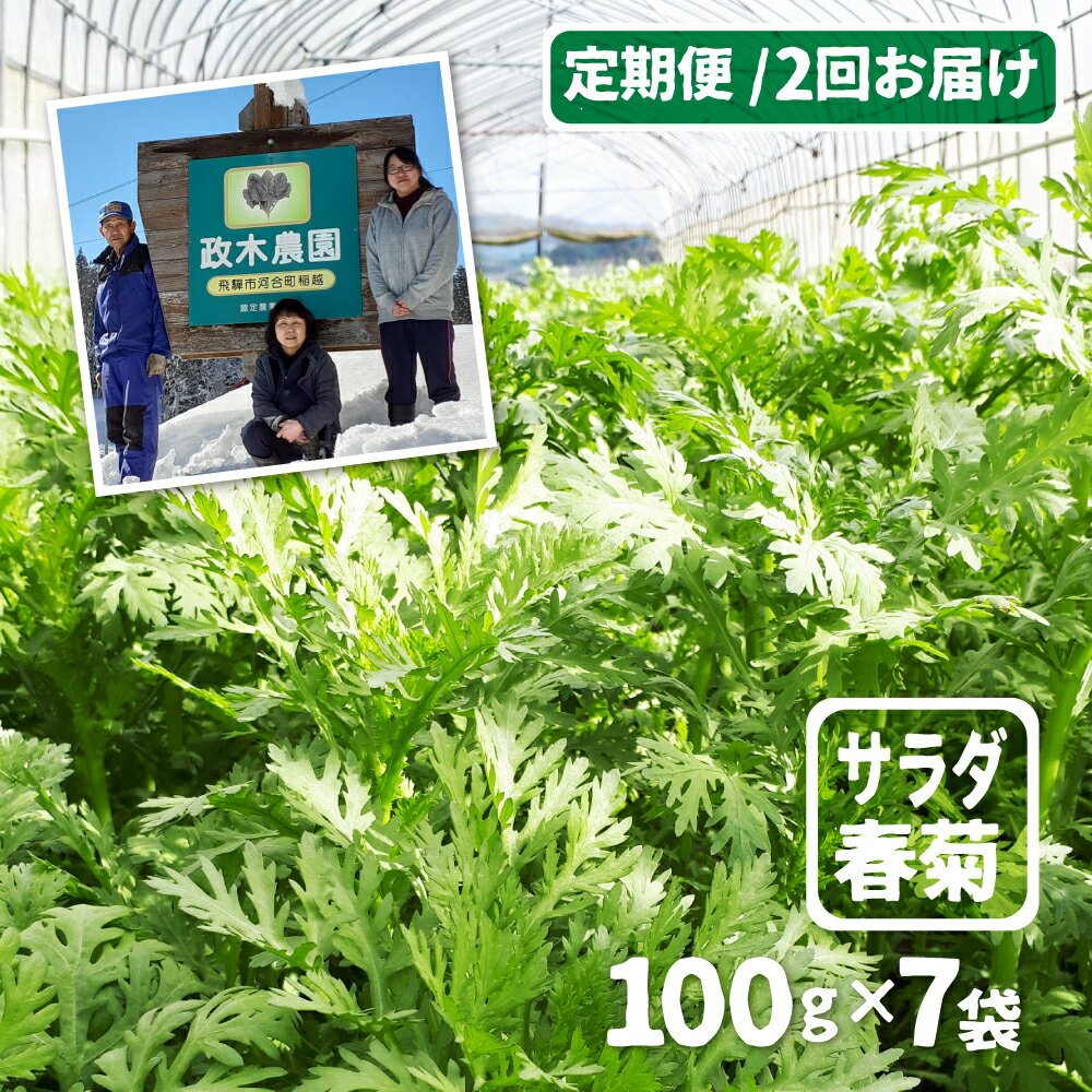 【ふるさと納税】【2回定期便 7月・9月にお届け】サラダ春菊 100g × 7袋 計700g 2回届く 政木農園 無農..