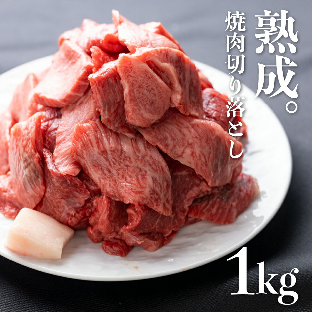 飛騨の牧場で育った熟成飛騨牛『山勇牛』 焼肉 切り落とし 1kg 切落し 訳あり 訳アリ わけあり ワケアリ 不揃い ミックス 希少部位入り A4・A5ランク飛騨牛 牛肉 肉 和牛 国産