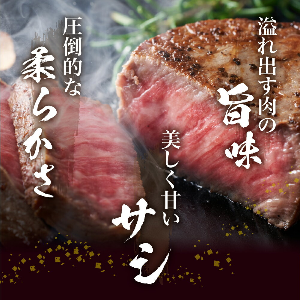 【ふるさと納税】飛騨牛 5等級 シャトーブリアン半年定期便 古里精肉店 A5 牛肉 肉 国産 BBQ ブランド牛 お取り寄せグルメ ギフト お楽しみ 480000円 48万円 ［Q1340］