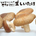 《訳あり》なかだファーム 訳あり しいたけ 250g×6 計1.5kg 個包装 椎茸 シイタケ 訳アリ わけあり 不揃い キノコ きのこ 茸 料理 ご飯 国産 ［Q1377］10000円 《hida0307》