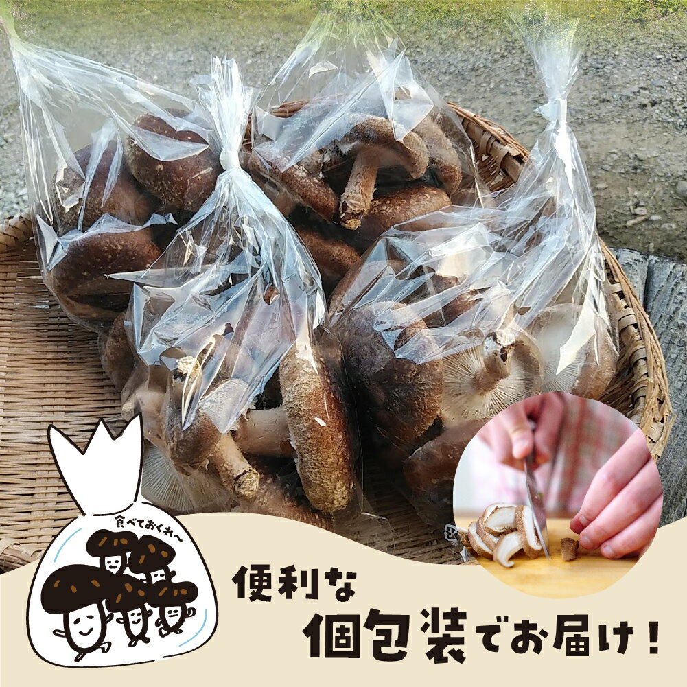 【ふるさと納税】【先行予約】《訳あり》なかだファーム 訳あり しいたけ 250g×6 計1.5kg 個包装 椎茸 シイタケ 訳アリ わけあり 不揃い キノコ きのこ 茸 料理 ご飯 国産 ［Q1377］10000円 《hida0307》