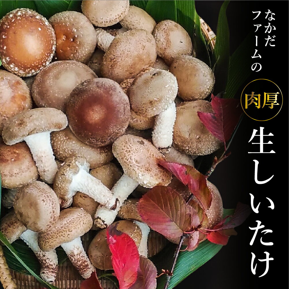 【ふるさと納税】なかだファーム 肉厚生 しいたけ 1.1kg 個包装 菌床 椎茸 シイタケ きのこ 茸 料理 調理 お取り寄せ グルメ 国産 詰め合わせ 小分け ［Q1380］ 8000円 8千円･･･