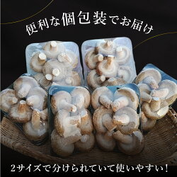 【ふるさと納税】なかだファーム 肉厚生 しいたけ 1.1kg 個包装 菌床 椎茸 シイタケ きのこ 茸 料理 調理 お取り寄せ グルメ 国産 詰め合わせ 小分け ［Q1380］ 8000円 8千円･･･ 画像2