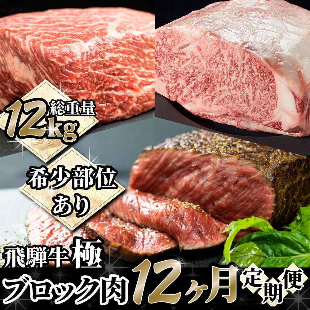 飛騨牛"極" 定期便 飛騨牛ブロック12回お届け 牛肉 和牛 ブランド牛 ごちそう 贅沢飛騨牛 お肉 お楽しみ 定期便[Q1662]1000000円 100万円