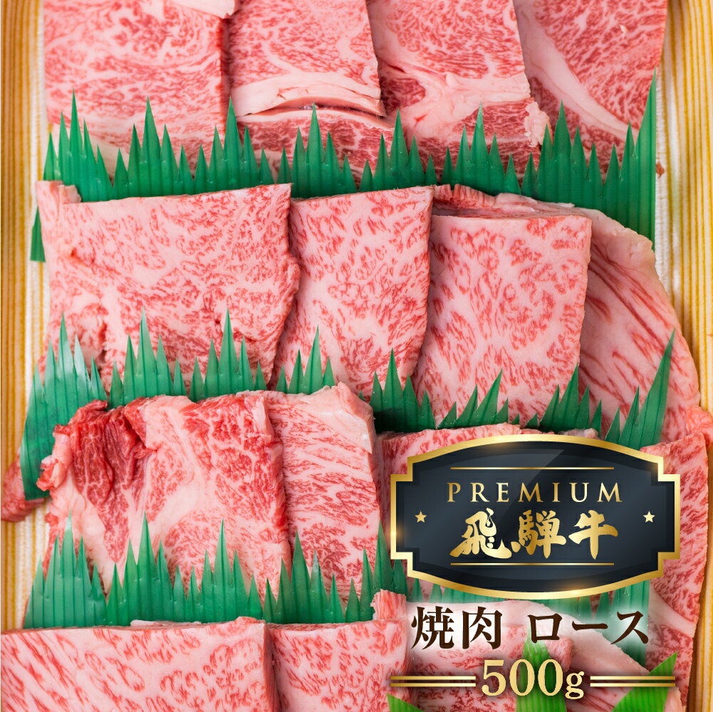 【ふるさと納税】最飛び牛 飛騨牛 ロース 焼肉 500g 5等級 A5 牛肉 和牛 ブランド牛 プレミアム ごちそう 贅沢飛騨牛 肉の沖村[Q1688]