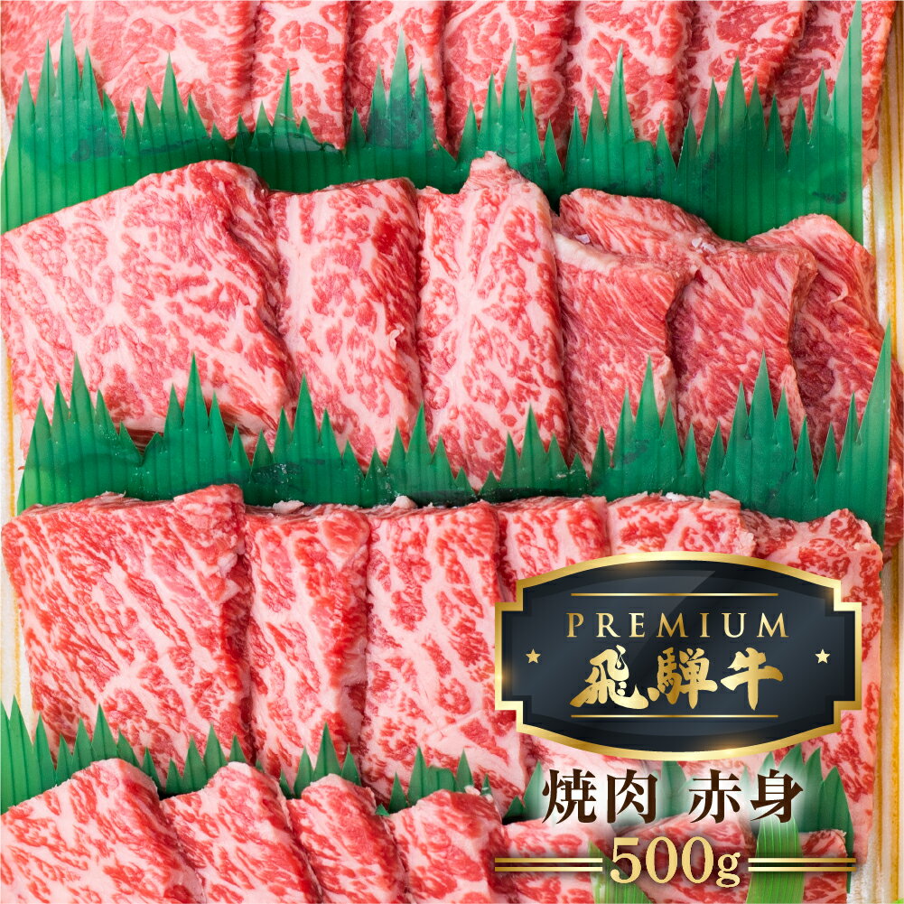 最飛び牛 飛騨牛 赤身 焼肉 500g 5等級 A5 うでorもも 牛肉 和牛 ブランド牛 プレミアム ごちそう 贅沢飛騨牛 肉の沖村[Q1694]