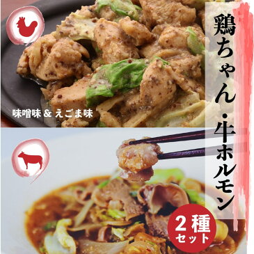 【ふるさと納税】飛騨地鶏けいちゃん 2種 牛ホルモン 牛・鶏 セット 味付き 肉 神岡 飛騨 けいちゃん とんちゃん ホルモン モツ ひだ小僧[Q180]10000円 1万円