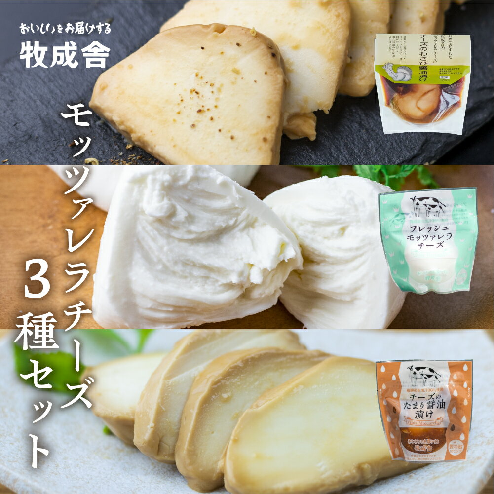 【ふるさと納税】チーズ 詰め合わせ こだわり モッツァレラチーズ 3種セット 100g×3 たまり醤油漬け わさび醤油漬け 自家製[Q614w]《hi..