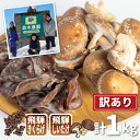 菌床しいたけ・生きくらげセット 計1kg 食べ比べ 政木農園 肉厚 椎茸 しいたけ シイタケ キクラゲ 飛騨 簡易包装 訳アリ わけあり ワケアリ 家庭用 大容量 旬 [Q948x] 10000円 1万円 《hida0307》