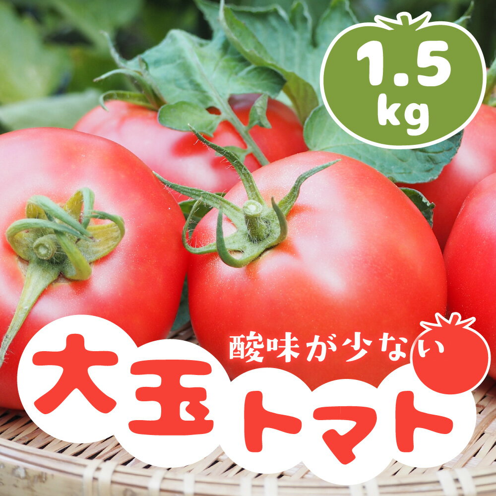 九州産完熟トマト 約4kg 最初の 九州産完熟トマト 約4kg 最初の