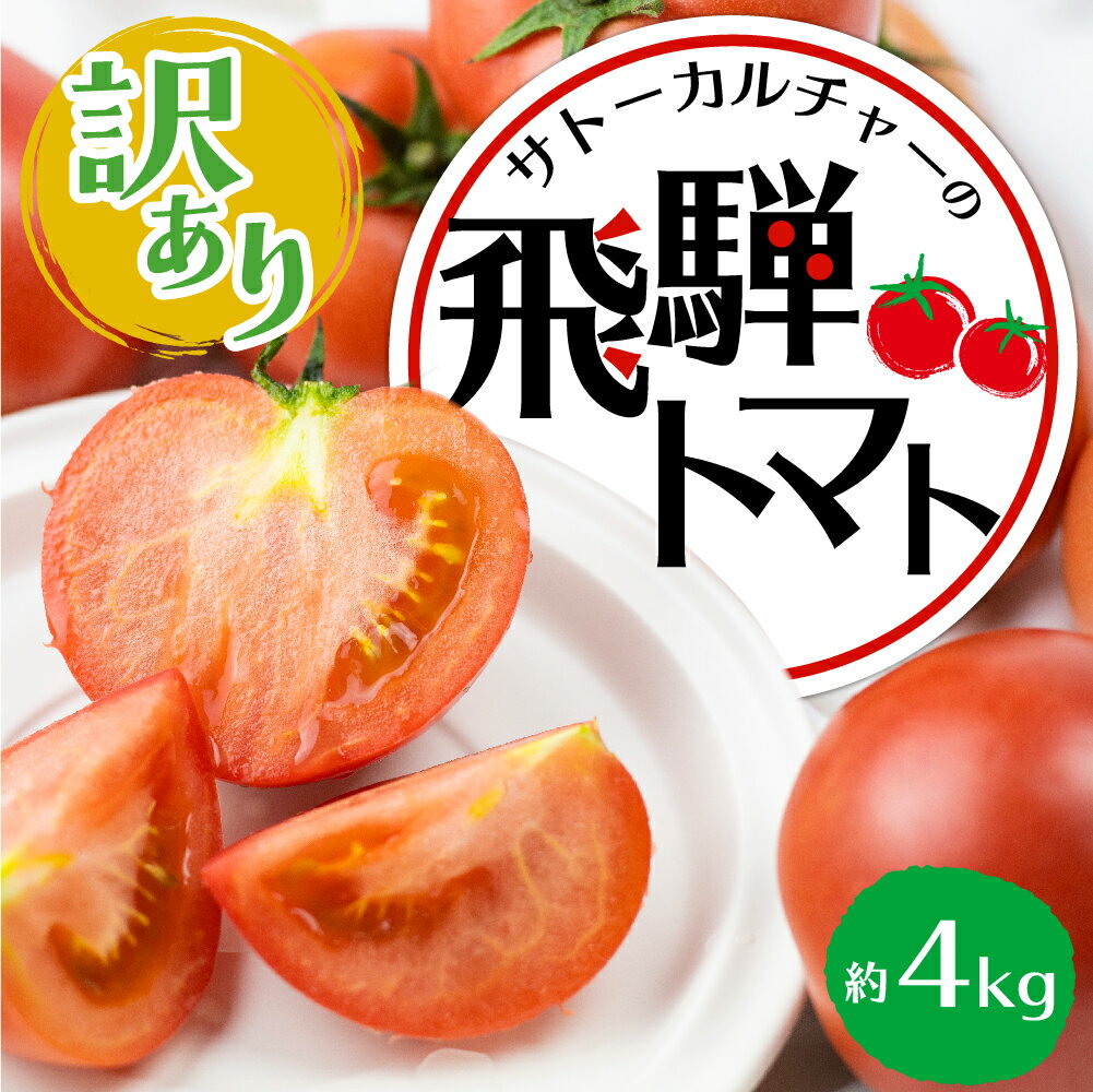 【ふるさと納税】【訳あり】飛騨トマト 約4kg 6月下旬～11月にかけて収穫次第順次発送 とまと トマト 麗月 訳あり 不揃い 傷 キズ 玉数・大きさおまかせ 15～28玉 サトーカルチャー [Q1387_24] 10000円 1万円 《hida0307》