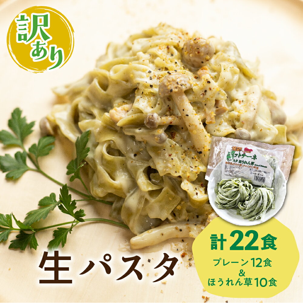 67位! 口コミ数「1件」評価「5」【訳あり】飛騨の生パスタ フィットチーネ セット 計22食 プレーン ほうれん草 2種類 飛騨食 飛騨産ほうれん草 国産小麦 フェットチーネ･･･ 