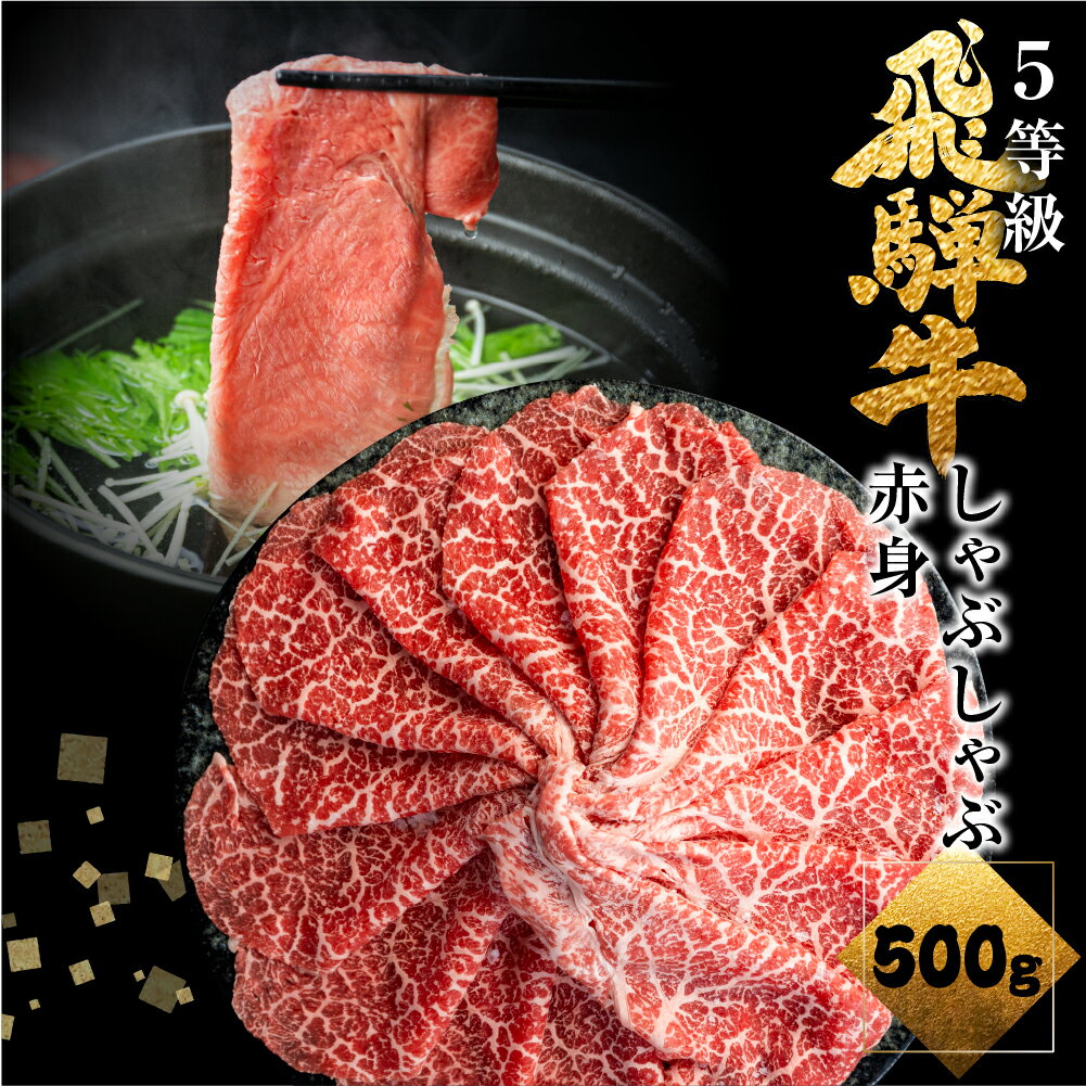 飛騨牛うでorももしゃぶしゃぶ 500g しゃぶしゃぶ用 国産牛 国産 牛肉 肉 厳選 熟成 贈答用 肉の沖村 [Q878]