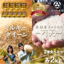 【ふるさと納税】ミルキークイーン 万天 2kg×2 計4kg 新米 お米 白米 飛騨産 ブランド米[Q894]