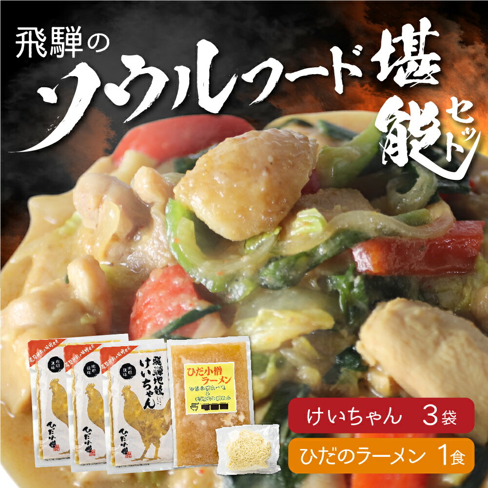 【ふるさと納税】ひだ地鶏けいちゃん320g×3パックとひだのラーメン1食セット 郷土料理 B級グルメ 鶏ちゃん 鶏肉 味付き 肉 ご当地 ラーメン [Q910]10000円 1万円 一万円