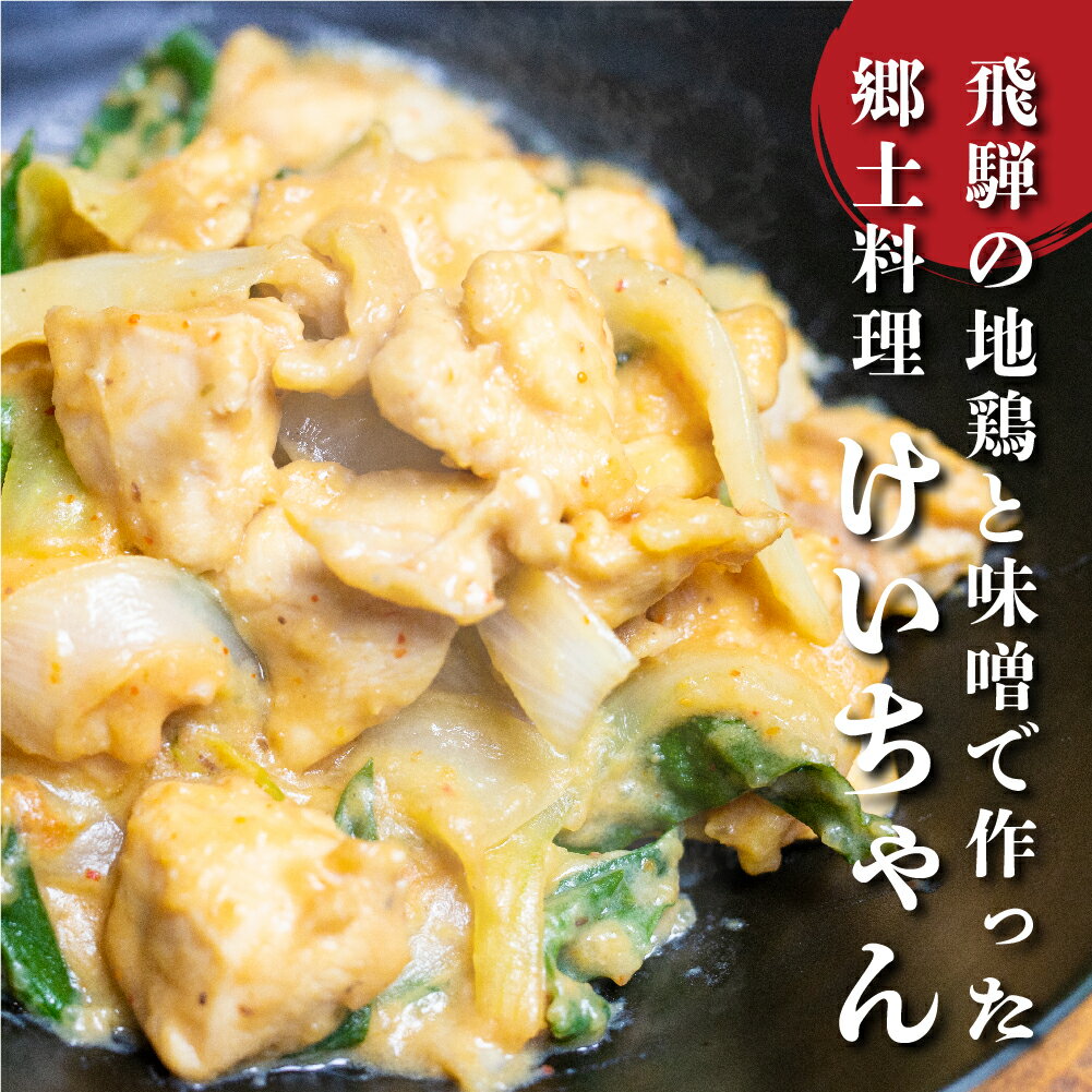 【ふるさと納税】ひだ地鶏けいちゃん320g×3パックとひだのラーメン1食セット 郷土料理 B級グルメ 鶏ちゃん 鶏肉 味付き 肉 ご当地 ラーメン [Q910]10000円 1万円 一万円