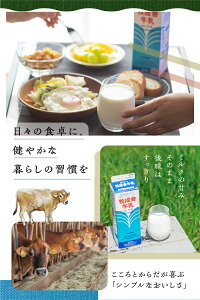 【ふるさと納税】明治30年創業の牛乳屋 牧成舎 低温殺菌牛乳[A0086w]《hida0307》